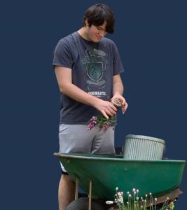 Young man with dark hair standing behind a wheelbarrow planting flowers
